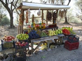 270-02 Roadside stall.JPG