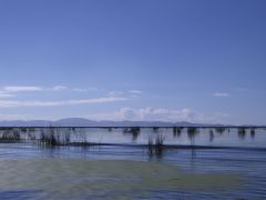 240-160 Lake Titicaca.jpg