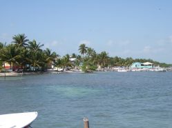 249-303 Caye Caulker.JPG