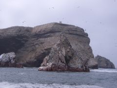 240-197 Birds at Ballasteros Islands.jpg