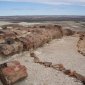 042 Petrified Forest 50Km off the 'main' road.jpg