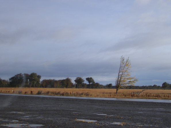 079 Autumn Crops south of Puerto Natales.jpg