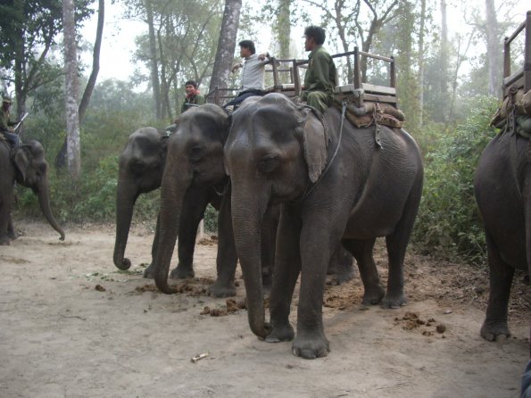 07 Chitwan.jpg