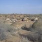 04 Yurt Camp at Yangigazgan.jpg