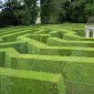 23 Jubilee Maze.JPG