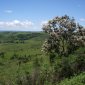 014 Countryside North of Iguazu Falls.jpg