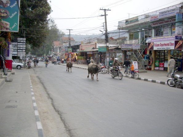 14 Pokhara - The main street.JPG