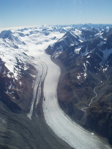 Fox Glacier.JPG