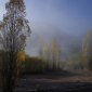 095 Another misty scene.jpg