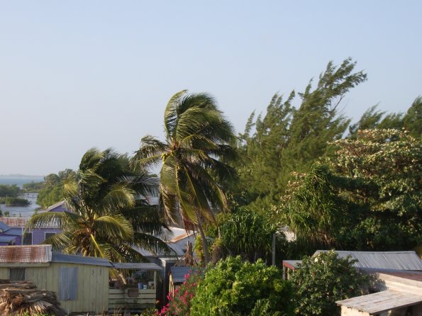 307 Caye Caulker.JPG