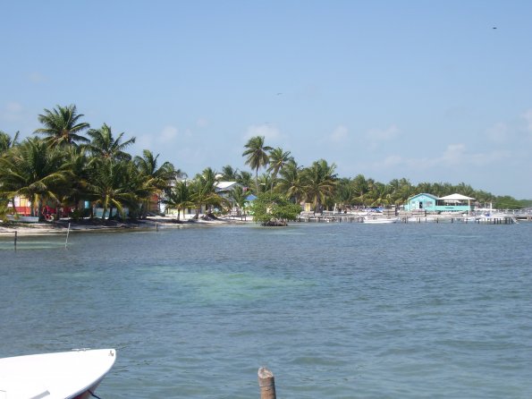 303 Caye Caulker.JPG