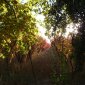 115 Autumn colours Mendoza.jpg