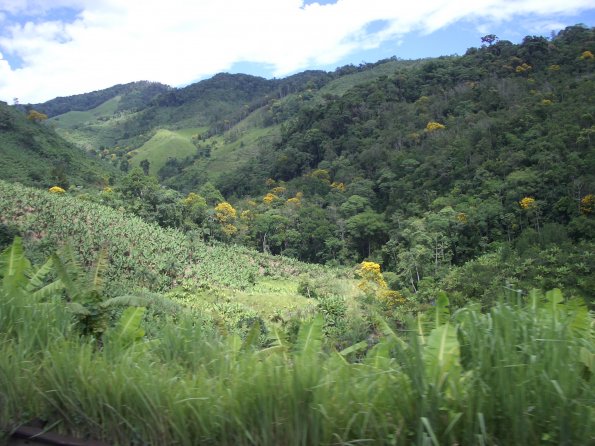 010 Countryside Nr Parati.jpg