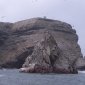 197 Birds at Ballasteros Islands.jpg