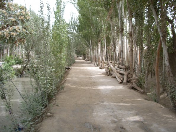 13 A peaceful lane in Keriya.jpg