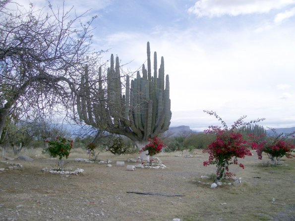 053 Mexico National Cactus Park.JPG