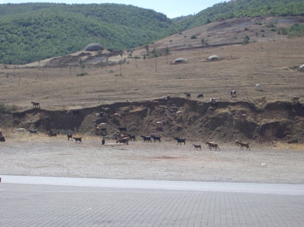 04 Bunkers enroute Elbasan to Struga.JPG