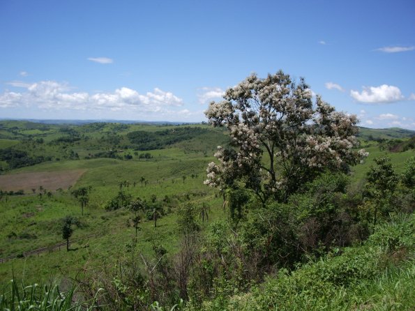 014 Countryside North of Iguazu Falls.jpg